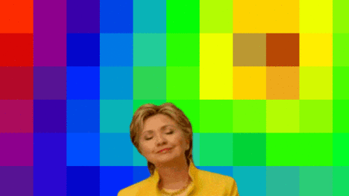Hilldawg Rodham Clinton ARF ARF ARF!